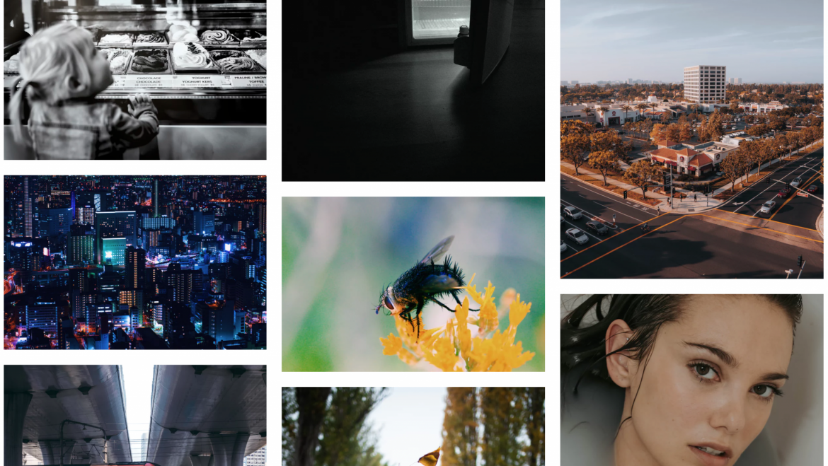 Algunos sitios de fotos gratis para usar en 2019