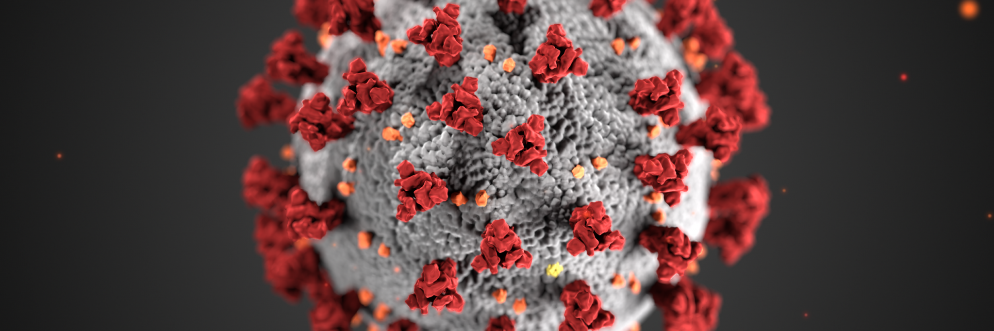 Com afecta el coronavirus en l’àmbit laboral de les empreses?