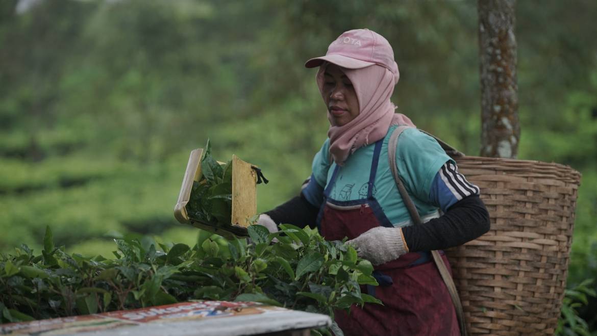 Refuerzo de la protección de las personas desplazadas por motivos laborales