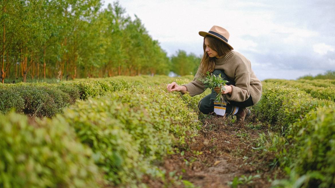 Subvenciones destinadas al apoyo a mujeres en los ámbitos rural y urbano