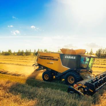 Medidas de liquidez para empresas y autónomos del sector agrario por la sequía