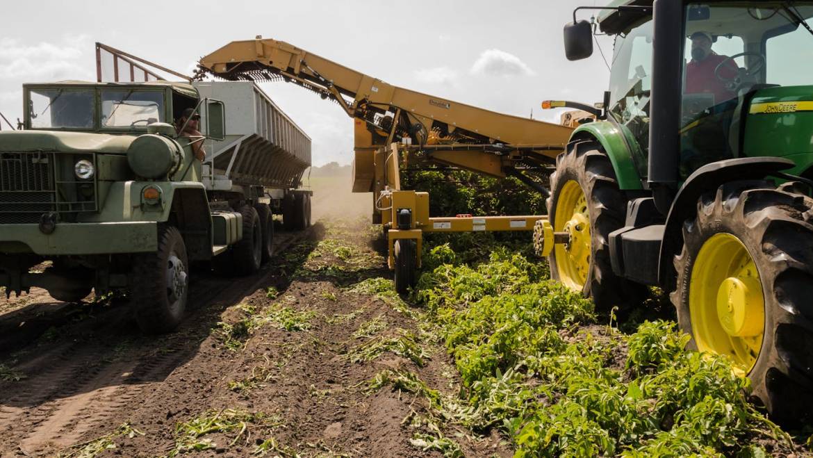 Reducción de módulos del IRPF y de la reducción general para actividades agrícolas y ganaderas afectadas por circunstancias excepcionales