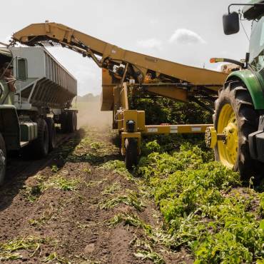 Reducció de mòduls de l’IRPF i de la reducció general per a activitats agrícoles i ramaderes afectades per circumstàncies excepcionals
